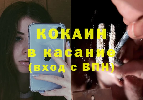 ПСИЛОЦИБИНОВЫЕ ГРИБЫ Абаза