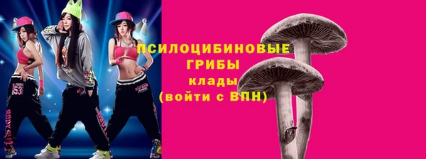 ПСИЛОЦИБИНОВЫЕ ГРИБЫ Абаза