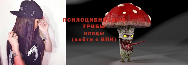 ПСИЛОЦИБИНОВЫЕ ГРИБЫ Абаза