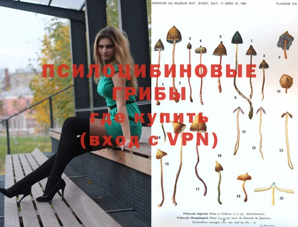 PSILOCYBIN Абдулино