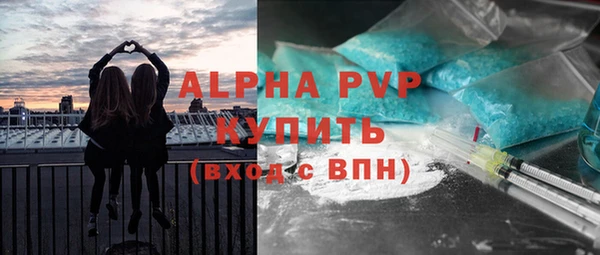 ПСИЛОЦИБИНОВЫЕ ГРИБЫ Абаза