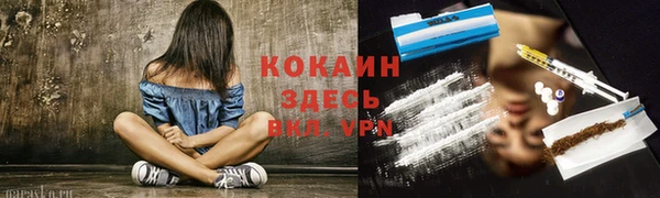 ПСИЛОЦИБИНОВЫЕ ГРИБЫ Абаза