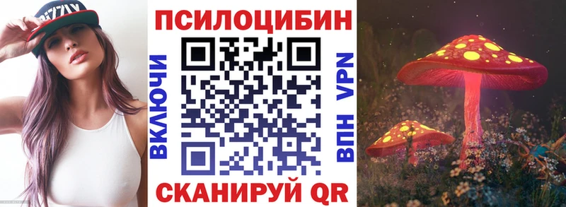 Галлюциногенные грибы Psilocybe Усть-Катав