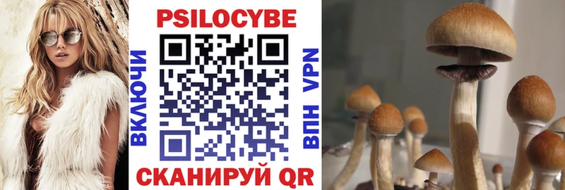 Галлюциногенные грибы Magic Shrooms  МЕГА ONION  Усть-Катав 